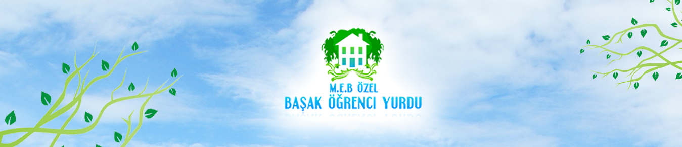 Özel bursa başak apart